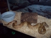 Picture_043.jpg
