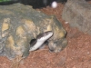 Picture_094.jpg