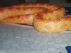 Picture_137.jpg