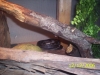 Picture_517.jpg