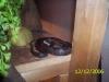 Picture_518.jpg