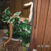 Sam_06-05-22.JPG