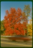 autumn.jpg