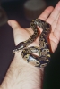 baby2-2.jpg