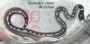baby6.jpg