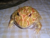 blob.jpg