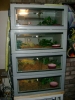 cage2.jpg