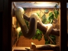 dougs_animals_057.jpg
