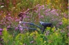 forgotten_bike.jpg