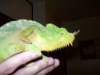 misc_1_016.JPG