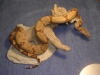 snakes1006_033.jpg