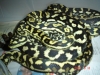 zoo_and_animals_055.jpg
