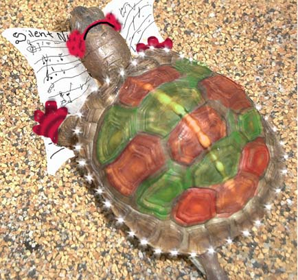 4795carolingturtle