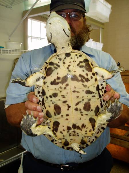 6942New_Image2