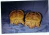 6942albino_northern_snappers.jpg