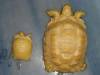 6942albino_sulcatas_hatchling_and_yearling1.jpg