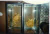 Albino_Florida_Snapping_Turtles.jpg