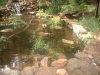 DSCF00161.JPG
