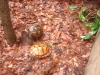 DSCF00301.JPG