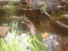 DSCF00311.JPG