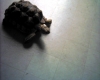 PICT0002.JPG