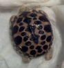 baby_2_5-23-12.jpg