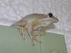 8748P8081334.jpg