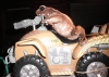 Wally_fourwheel.jpg