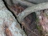 keysNtoad14.JPG