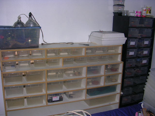 10551DSCN1257