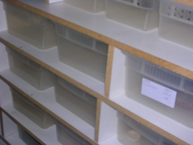 10551DSCN1304