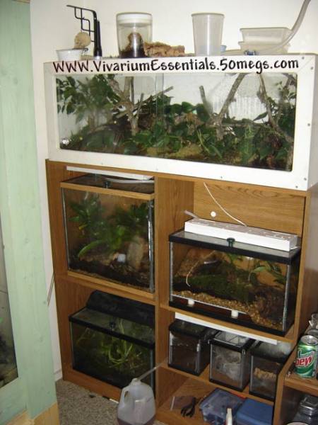 16618shelf