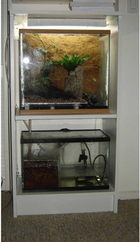 new-tank