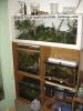 16618shelf.jpg