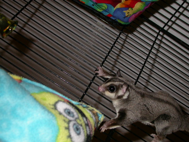1064DSCN0098
