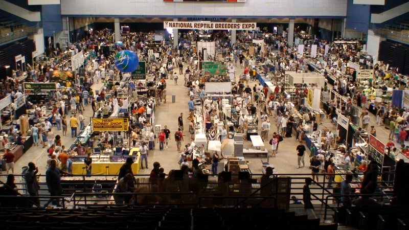 expo01