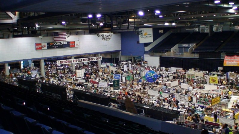 expo03