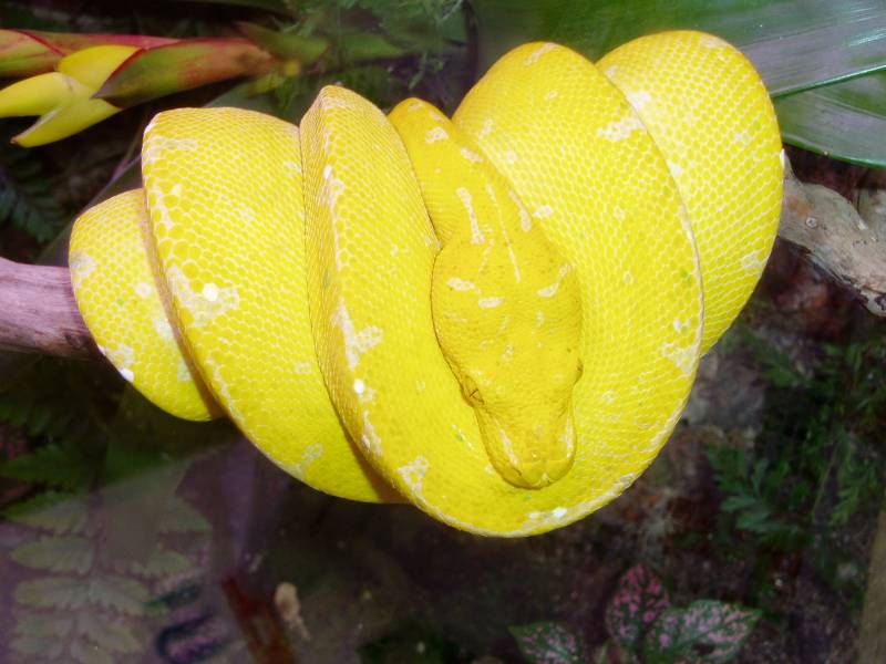 6942P1010057