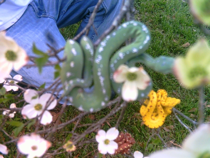 Picture_069