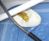 Chondro-07-1.jpg