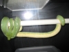 Chondro_Wierd.jpg