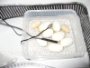 Chondro_eggs.jpg