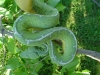 DSC01016.JPG