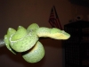 DSC01021.JPG
