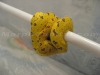 MorphCapital_GTP2.jpg