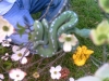 Picture_069.jpg