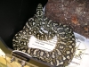 carpet_python_001.jpg