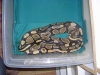 DSCN2522.JPG