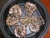 DSCN2758.JPG
