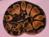 DSCN4041.JPG